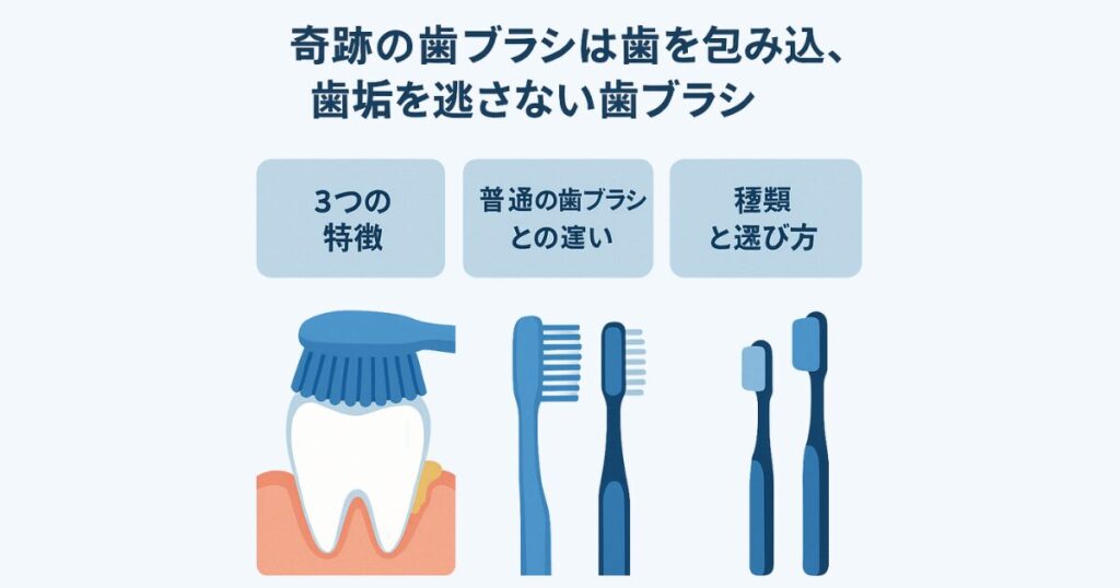 奇跡の歯ブラシは歯を包み込み、歯垢を逃さない歯ブラシ