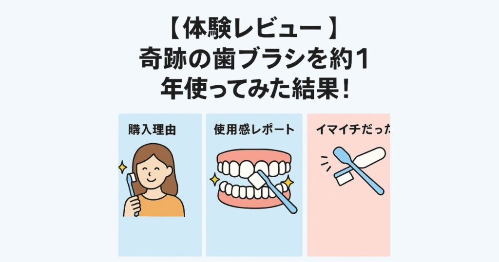 【体験レビュー】奇跡の歯ブラシを約1年使ってみた結果!