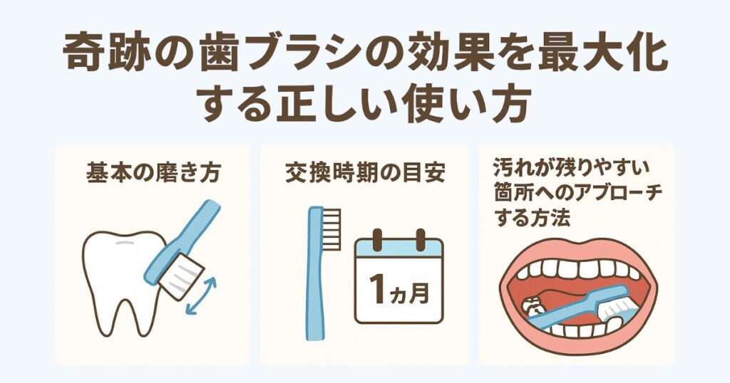 奇跡の歯ブラシの効果を最大化する正しい使い方